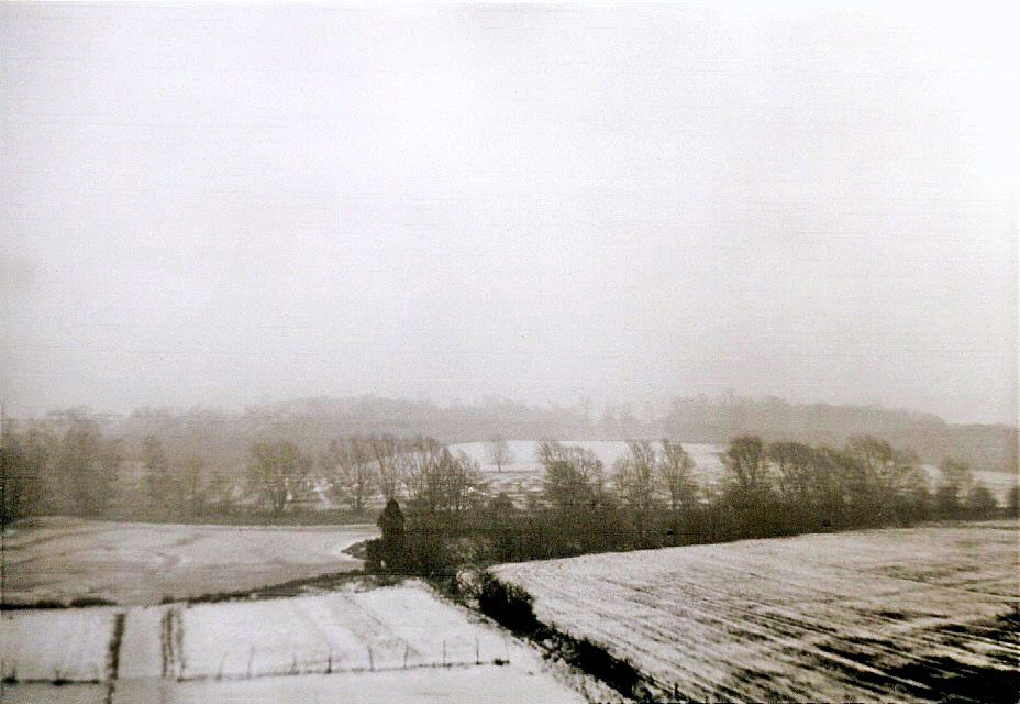 View of the grounds from the Tower, 1962