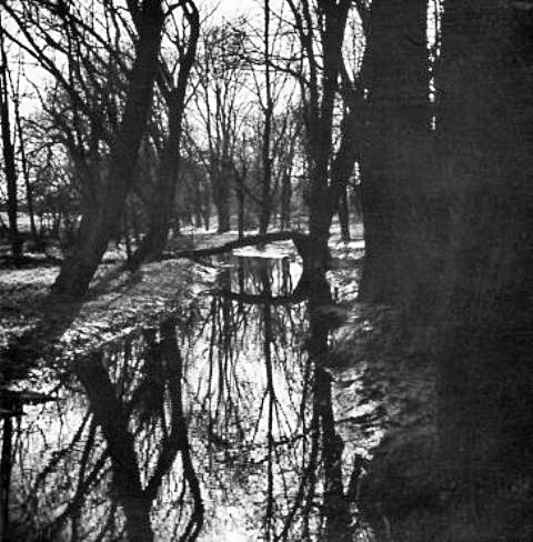 Stream from the bridge