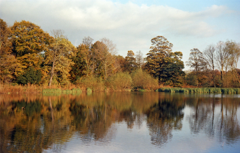 The Lake in 1982
