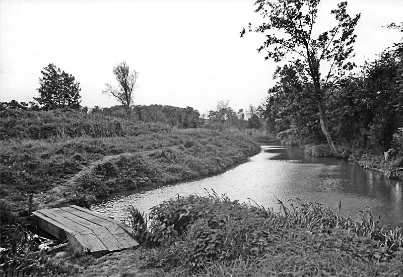 Grounds 1980s